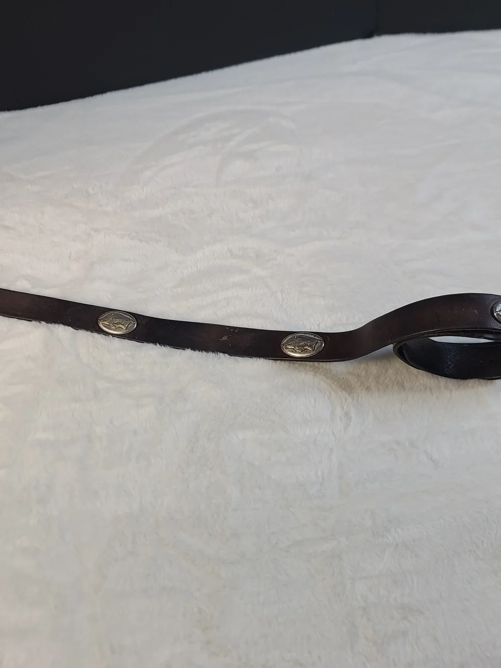Men's Dark Brown Leather Belt with Silver Buckle and Concho Accent